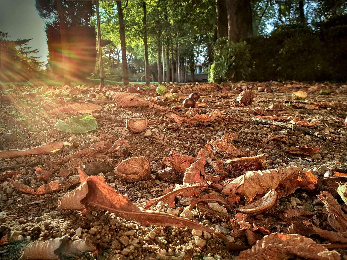 Mumbai caída del cabello: causas y soluciones